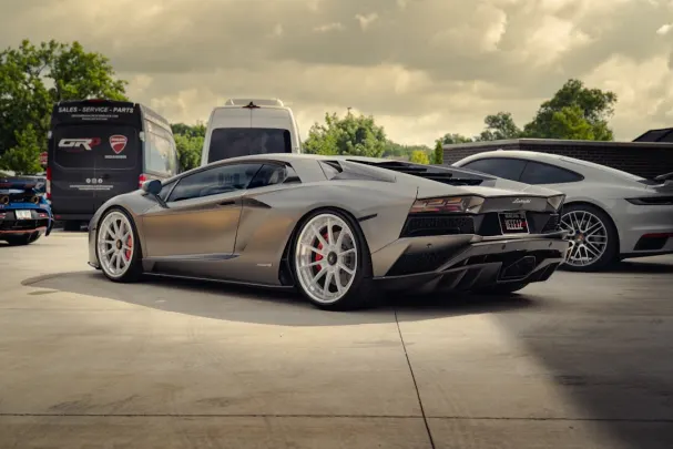 Dolly Casino Android/iOS App